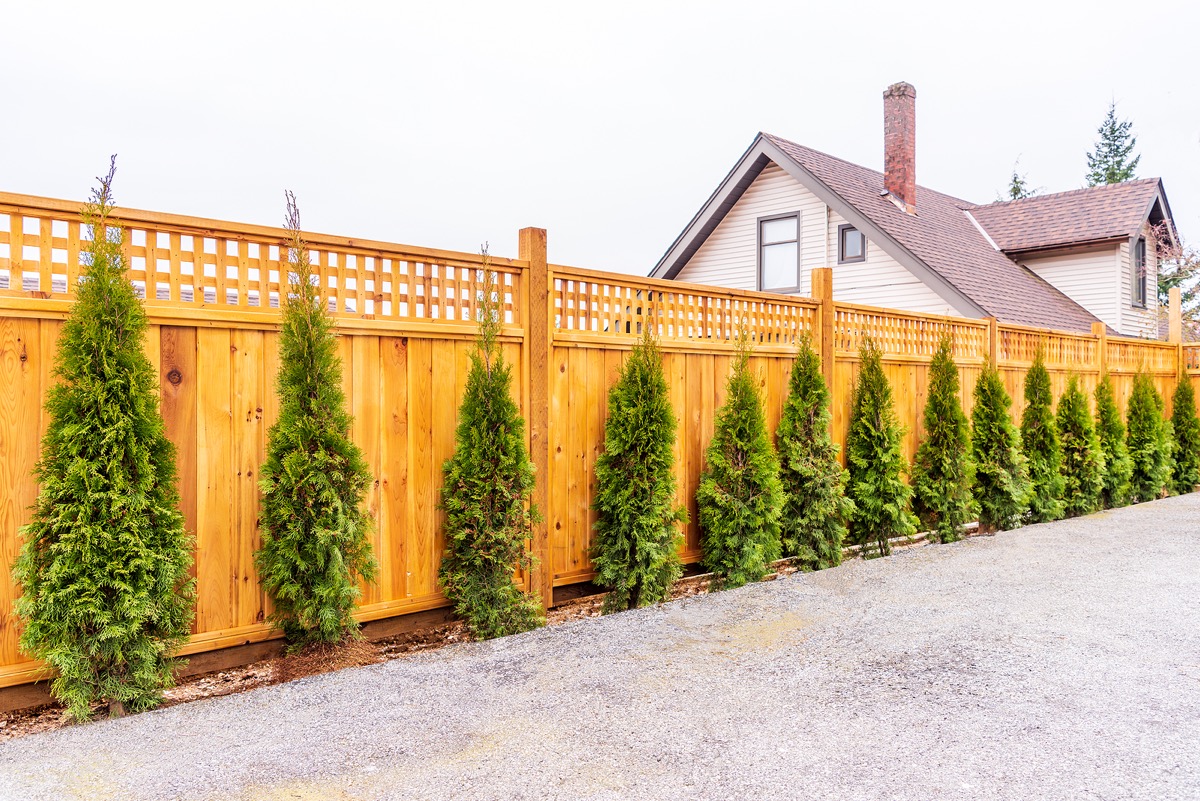 Design a Custom Fence for Your Backyard